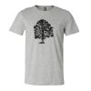 3001CV Unisex Short Sleeve Heather Jersey Tee Thumbnail