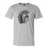 3001CV Unisex Short Sleeve Heather Jersey Tee Thumbnail