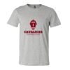 3001CV Unisex Short Sleeve Heather Jersey Tee Thumbnail