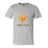 3001CV Unisex Short Sleeve Heather Jersey Tee Thumbnail