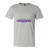 3001CV Unisex Short Sleeve Heather Jersey Tee Thumbnail